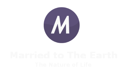 Married To The Earth